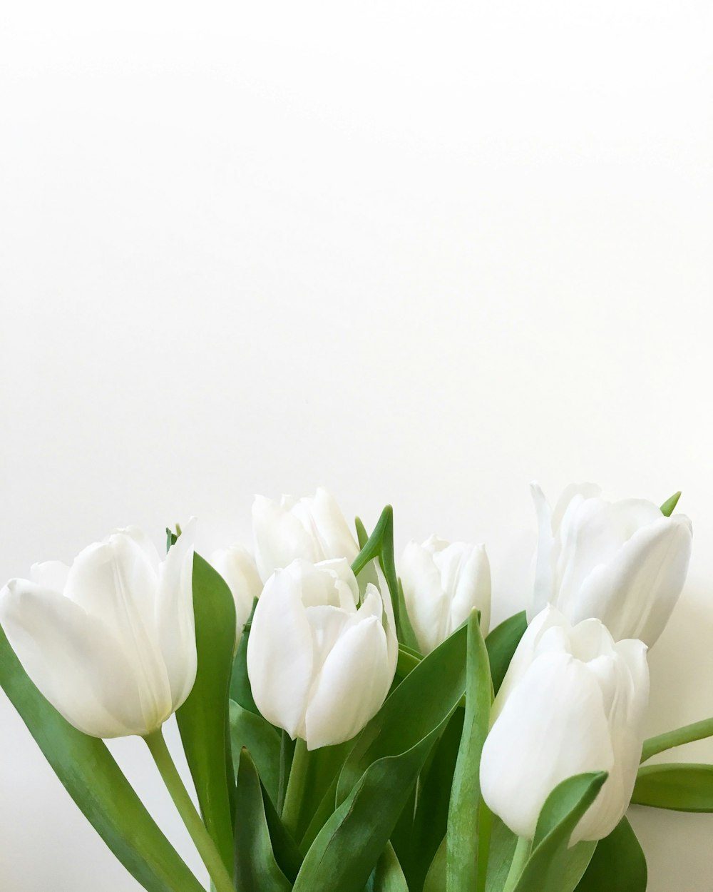 Pure & Simple