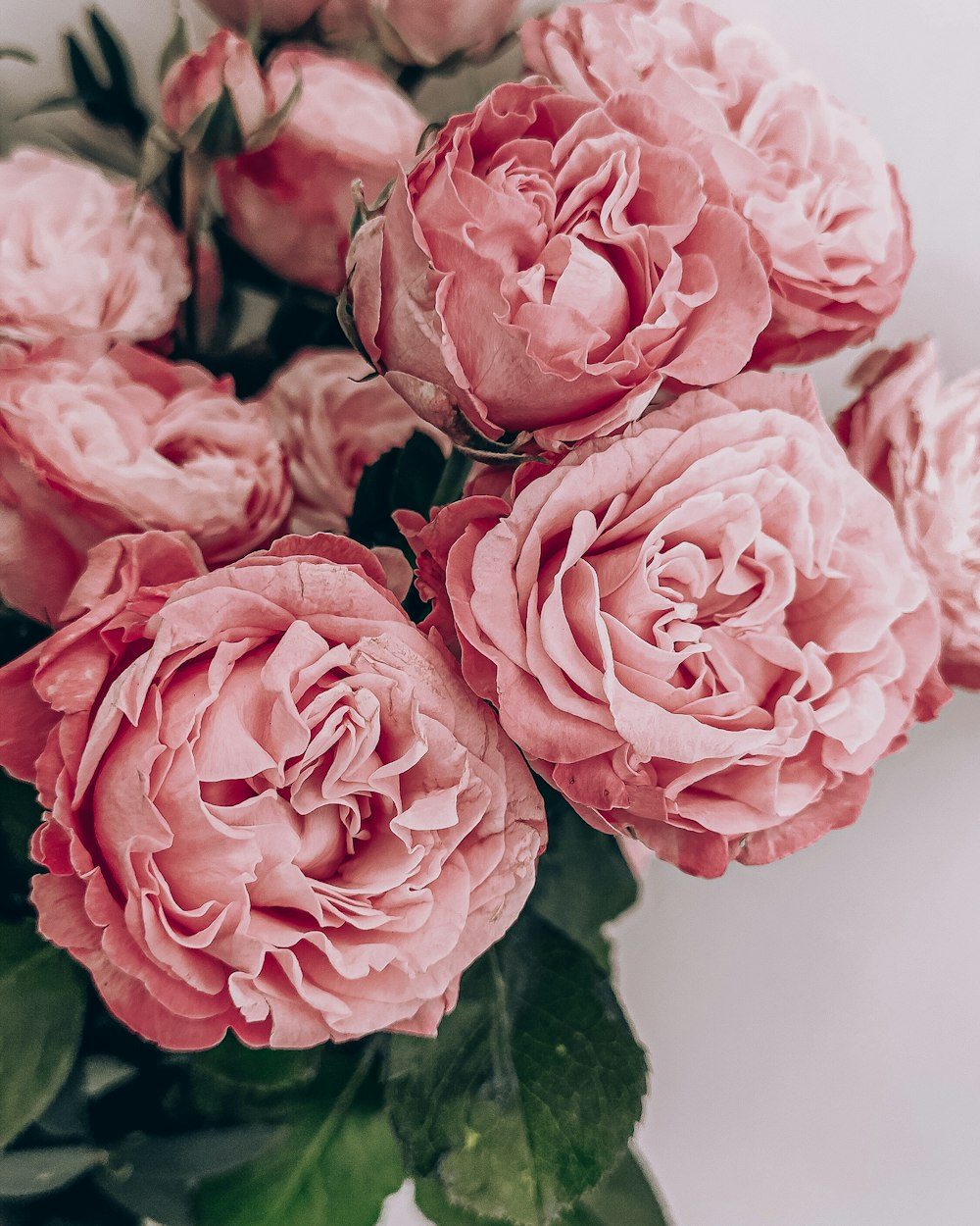Blush Moment